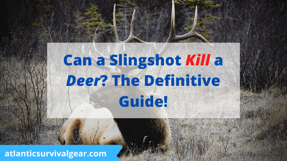 Can a slingshot kill a deer
