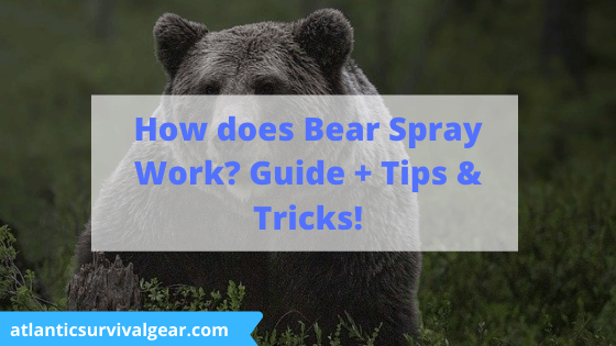 How does bear spray work