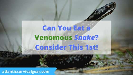 Can you eat a venomous snake