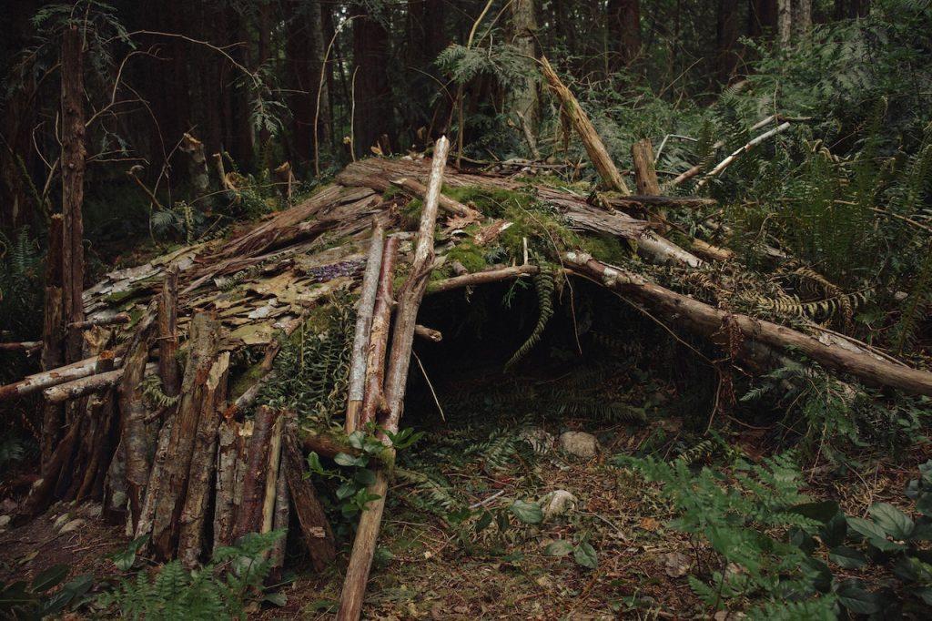 Building a Basic Survival Shelter Using Natural Materials, a shelter in the forest
