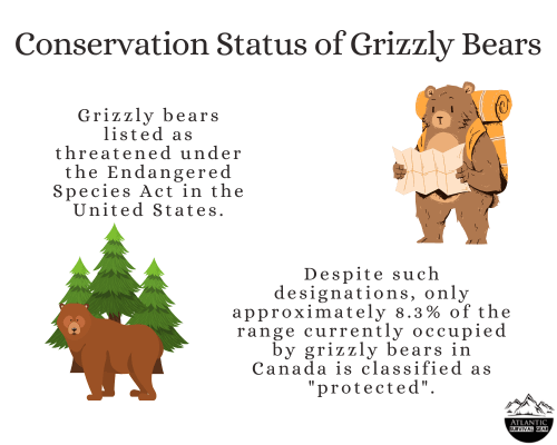 Conservation of grizzly bears, data, graph, visual, Atlantic Survival Gear