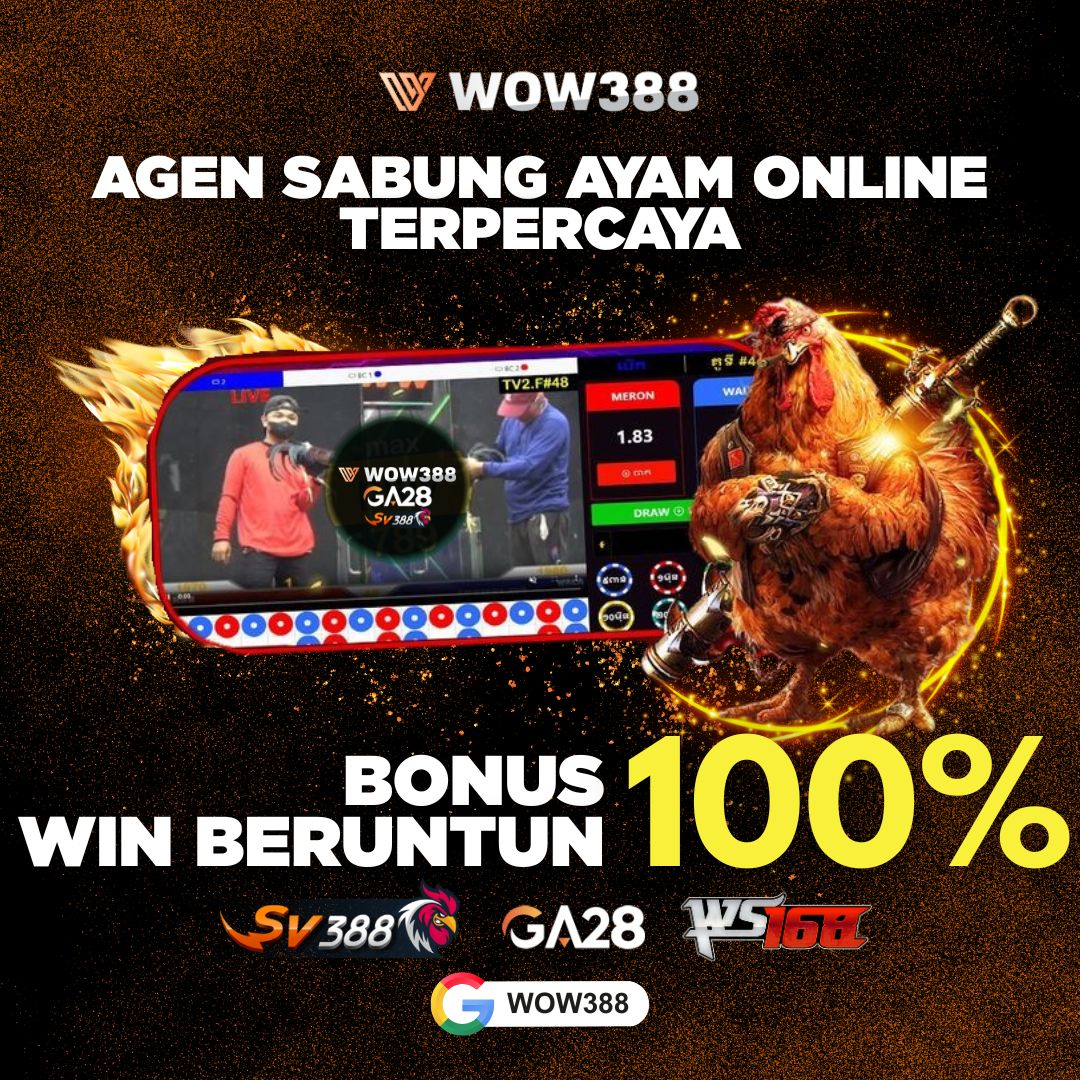 waktu untuk main adu ayam