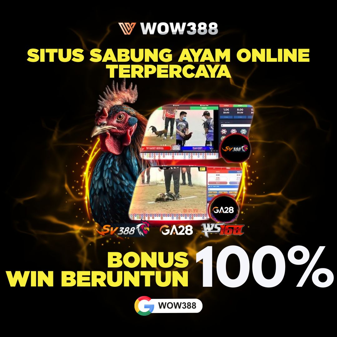 laga sabung ayam online